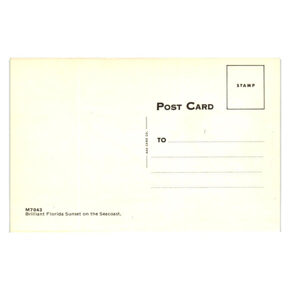 Vintage Florida Sunset Postcard Evening Palm Trees Vacation Beach Ocean Sunset - Picture 2 of 2